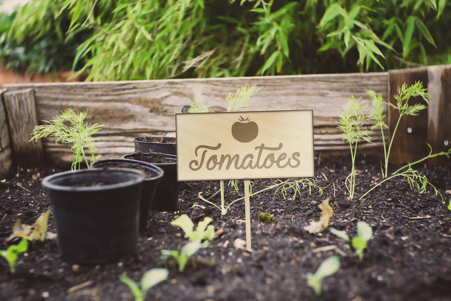 Personalised, Custom Garden Signs UK Marktek